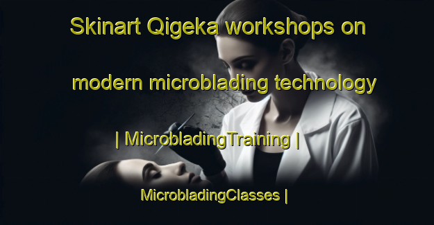 Skinart Qigeka workshops on modern microblading technology | MicrobladingTraining | MicrobladingClasses | SkinartTraining-China